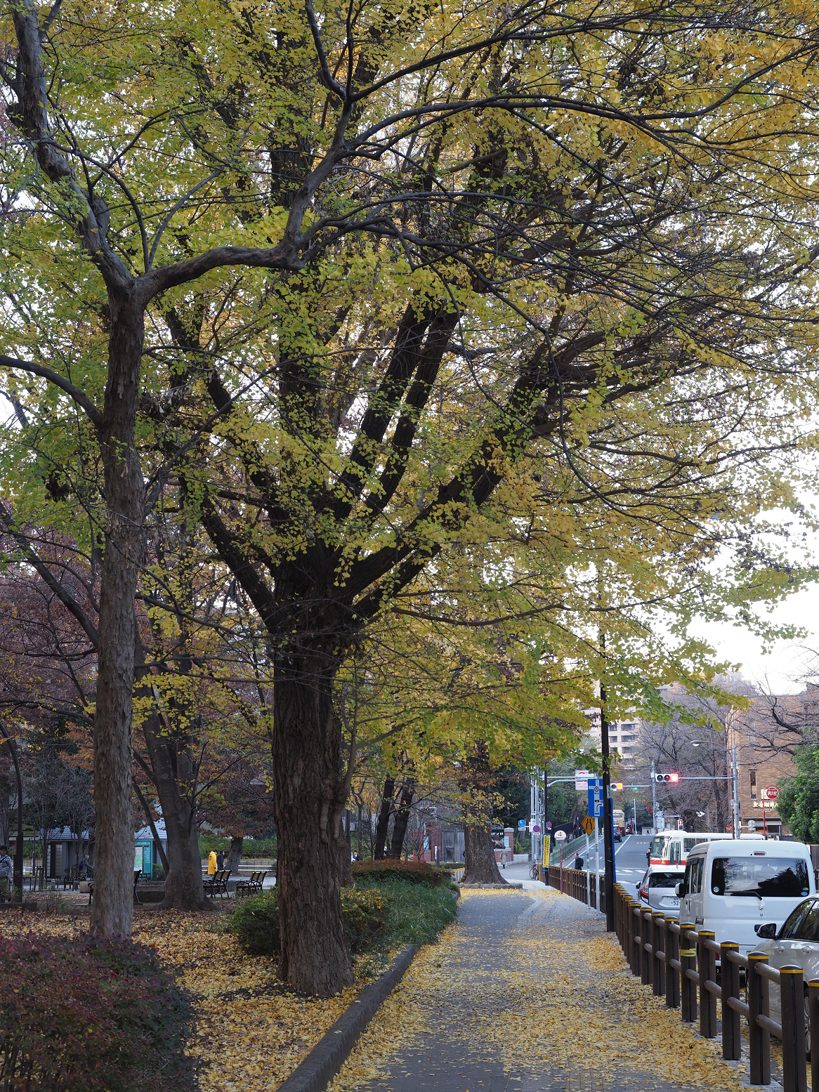 PC101121.jpg