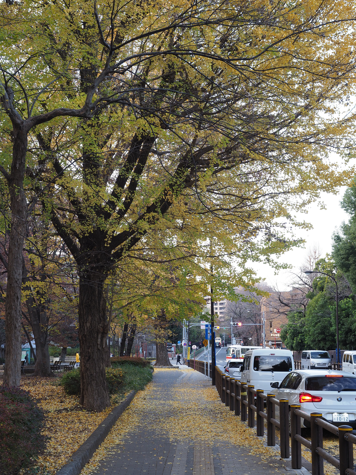 PC101122.jpg