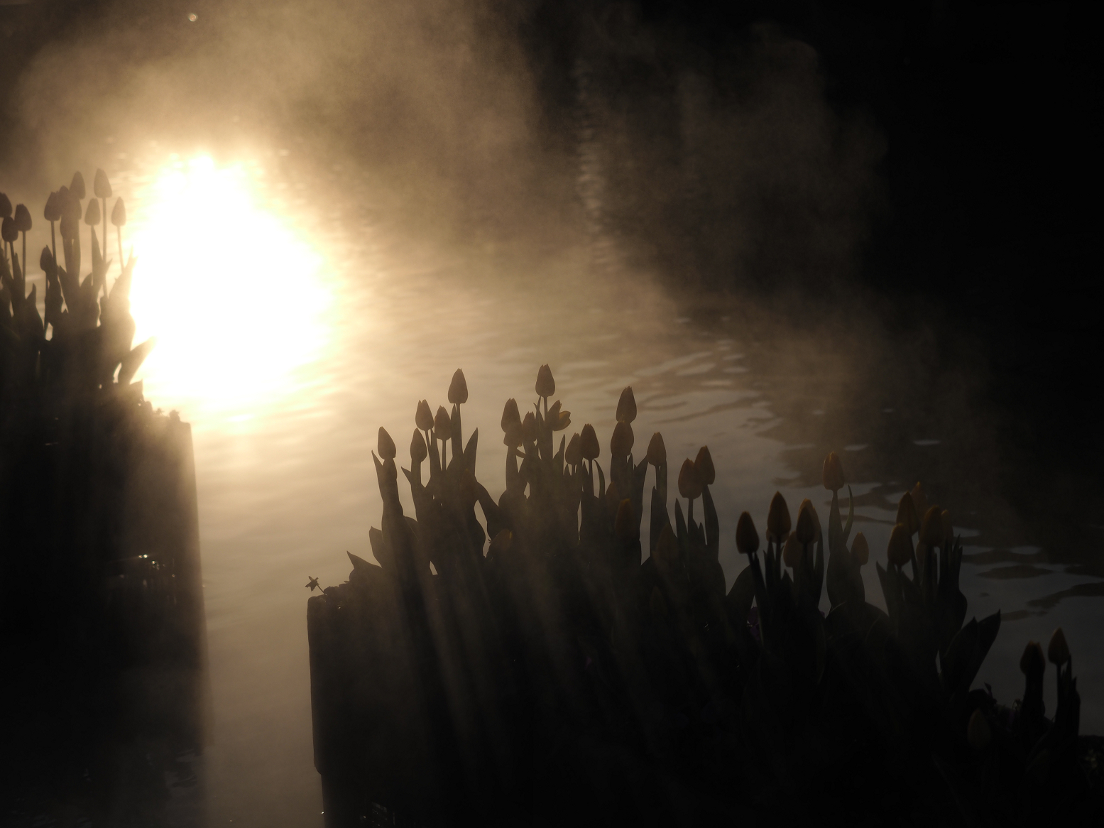 PC101153.jpg
