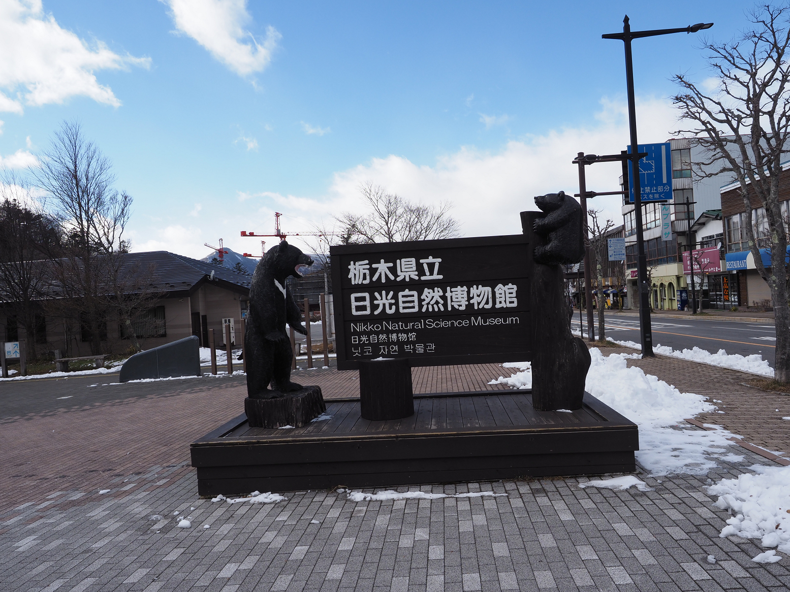 PC150044.jpg