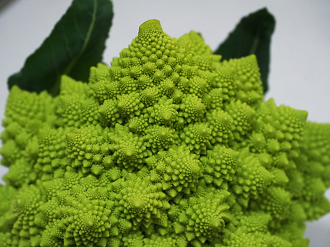 PC150169_thumb.png