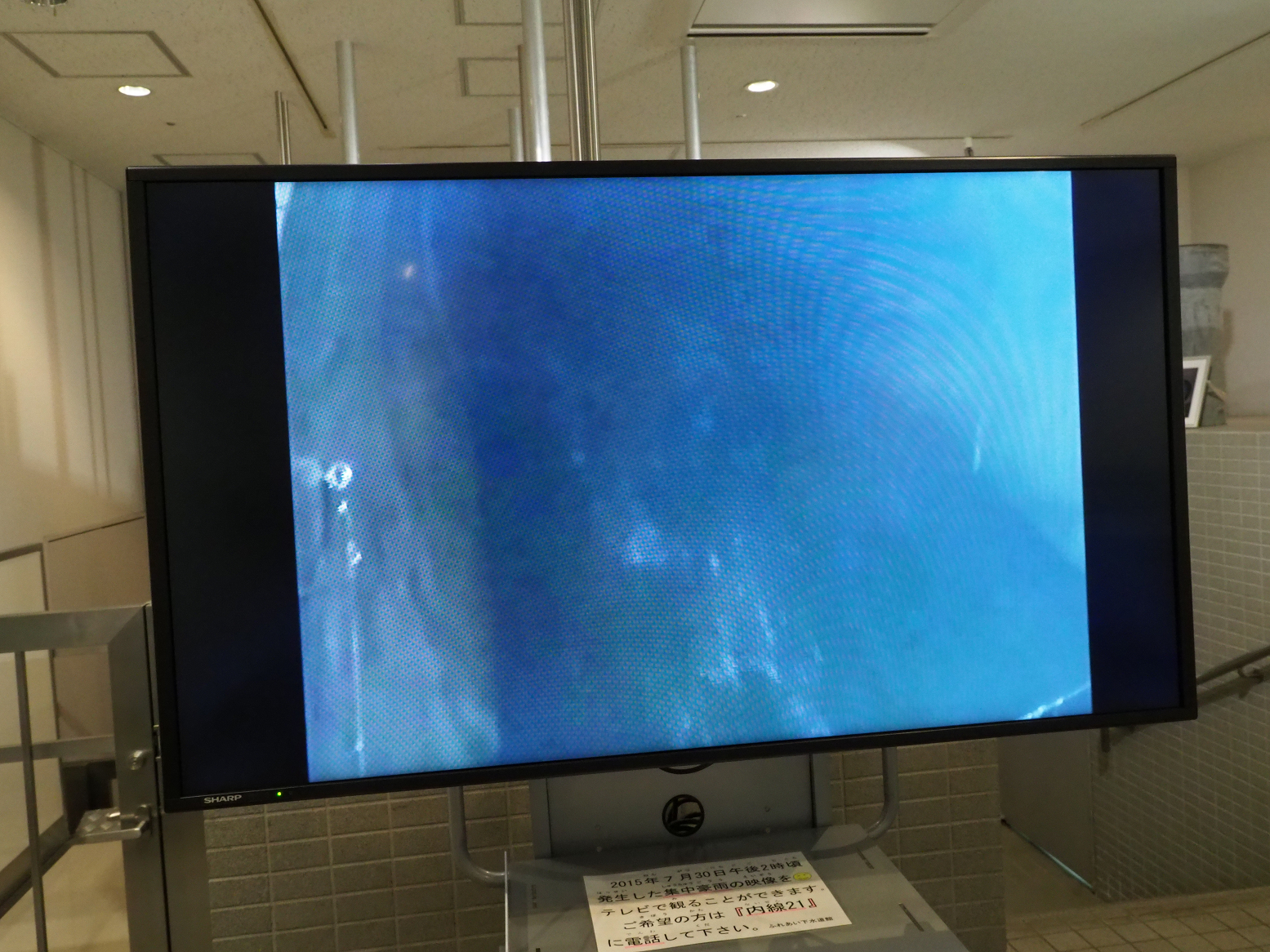 PC220032.jpg