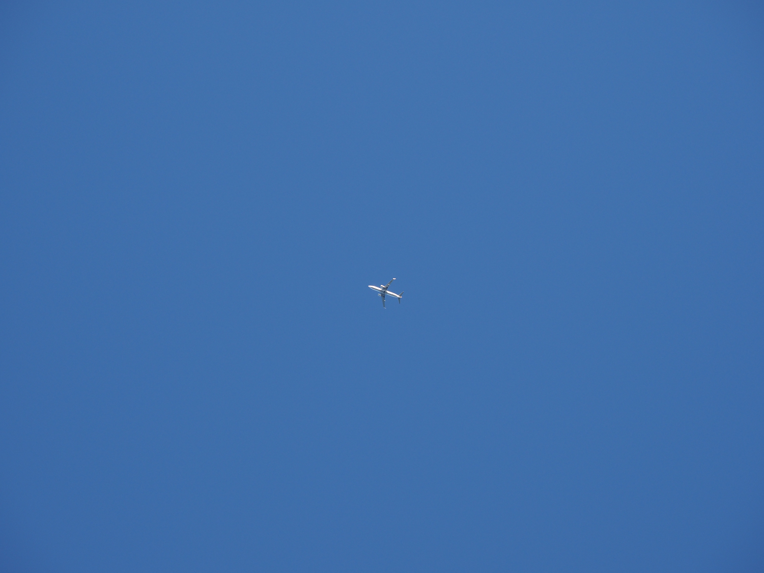 PC290007.jpg