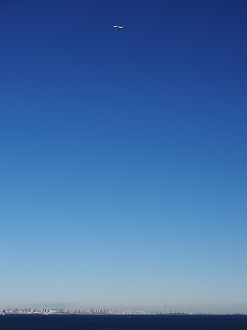PC290011_thumb.png