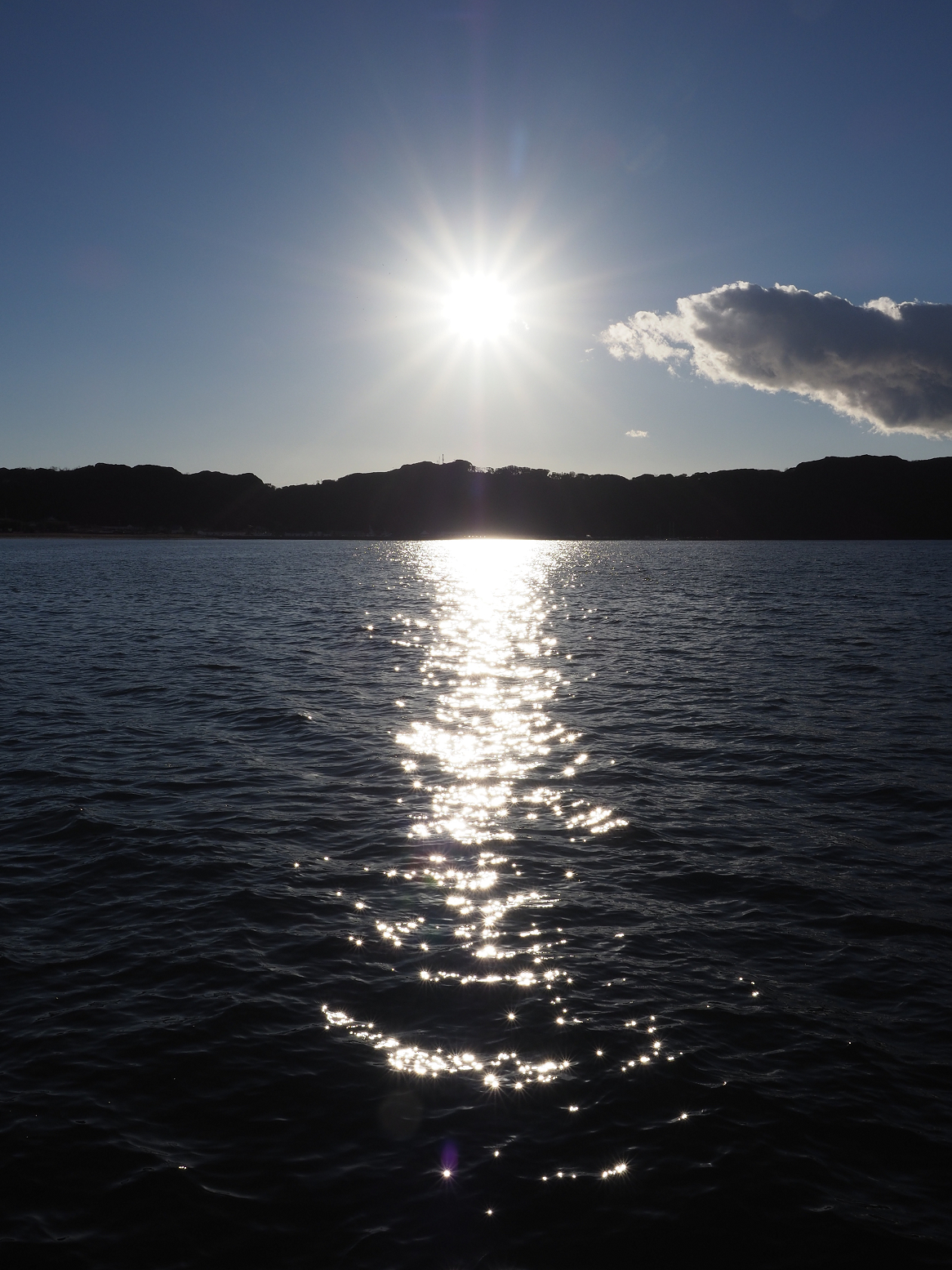 PC290116.jpg