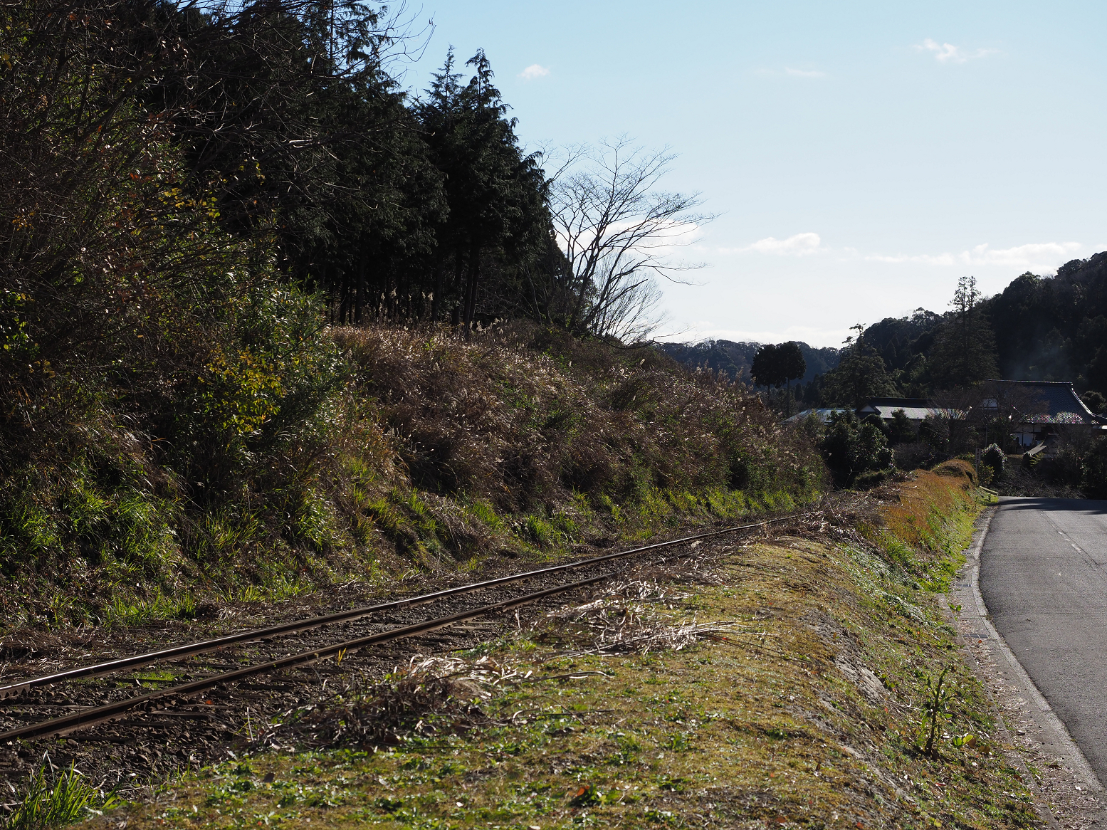 PC300267.jpg