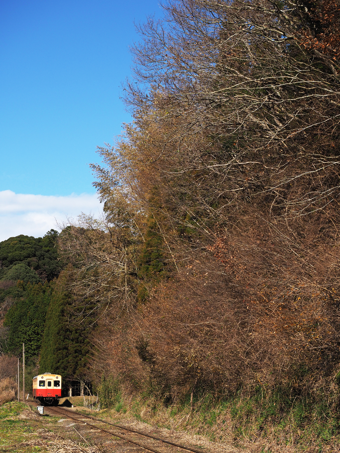 PC300275.jpg