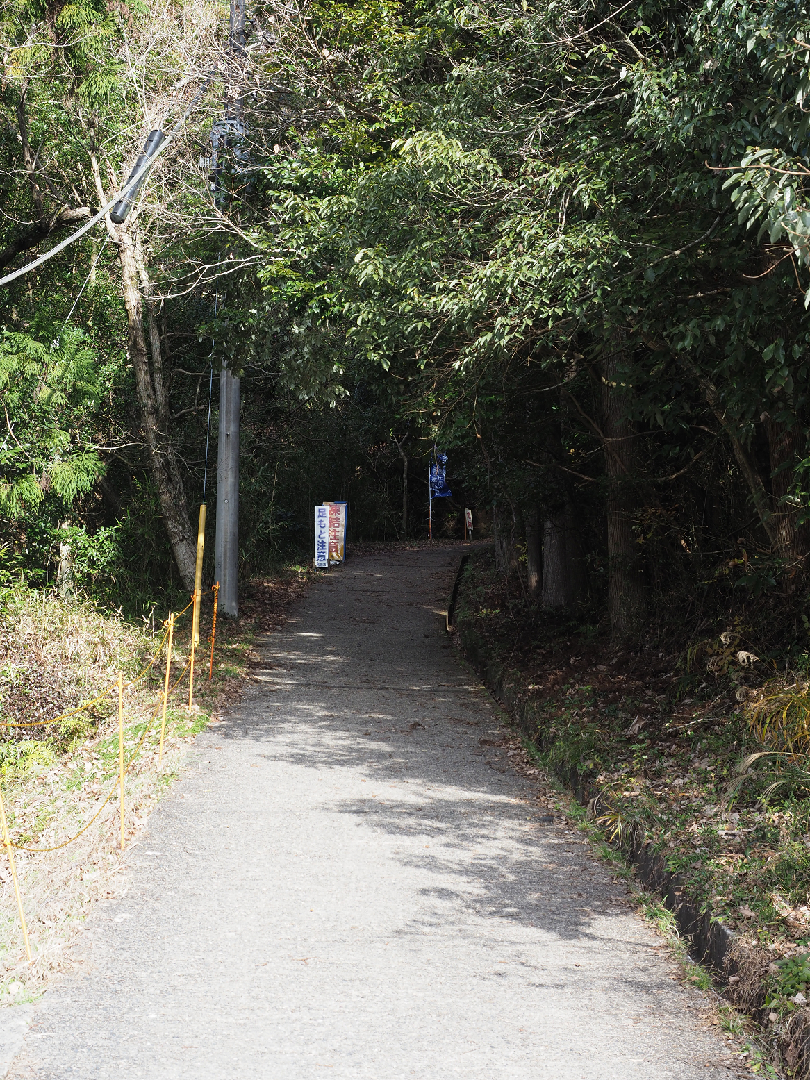 PC300302.jpg
