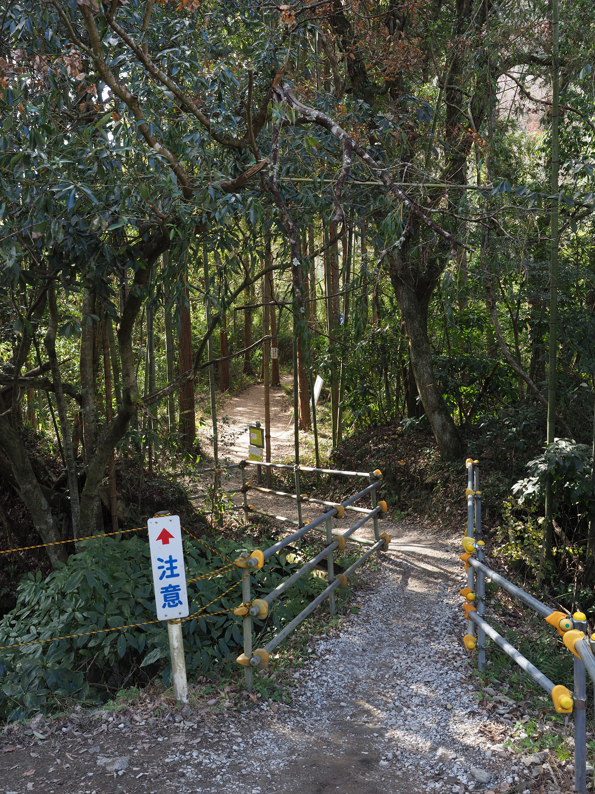 PC300303.jpg