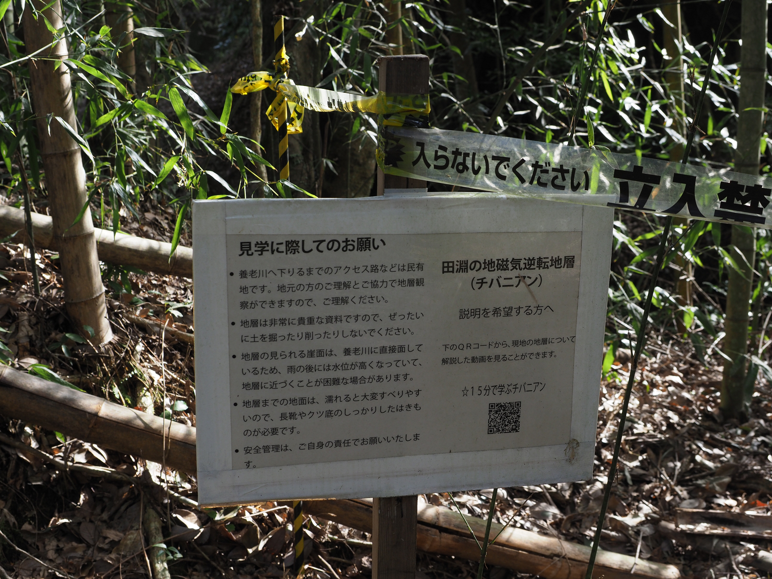 PC300308.jpg