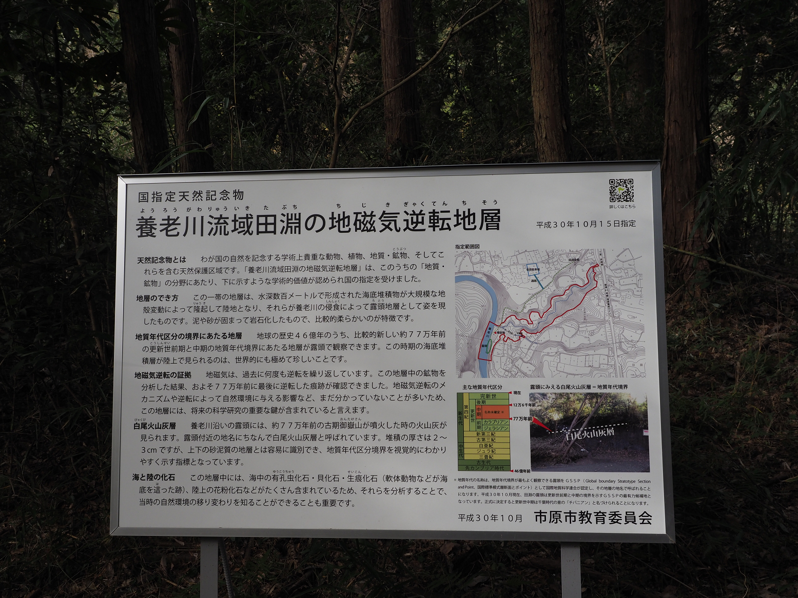 PC300309.jpg