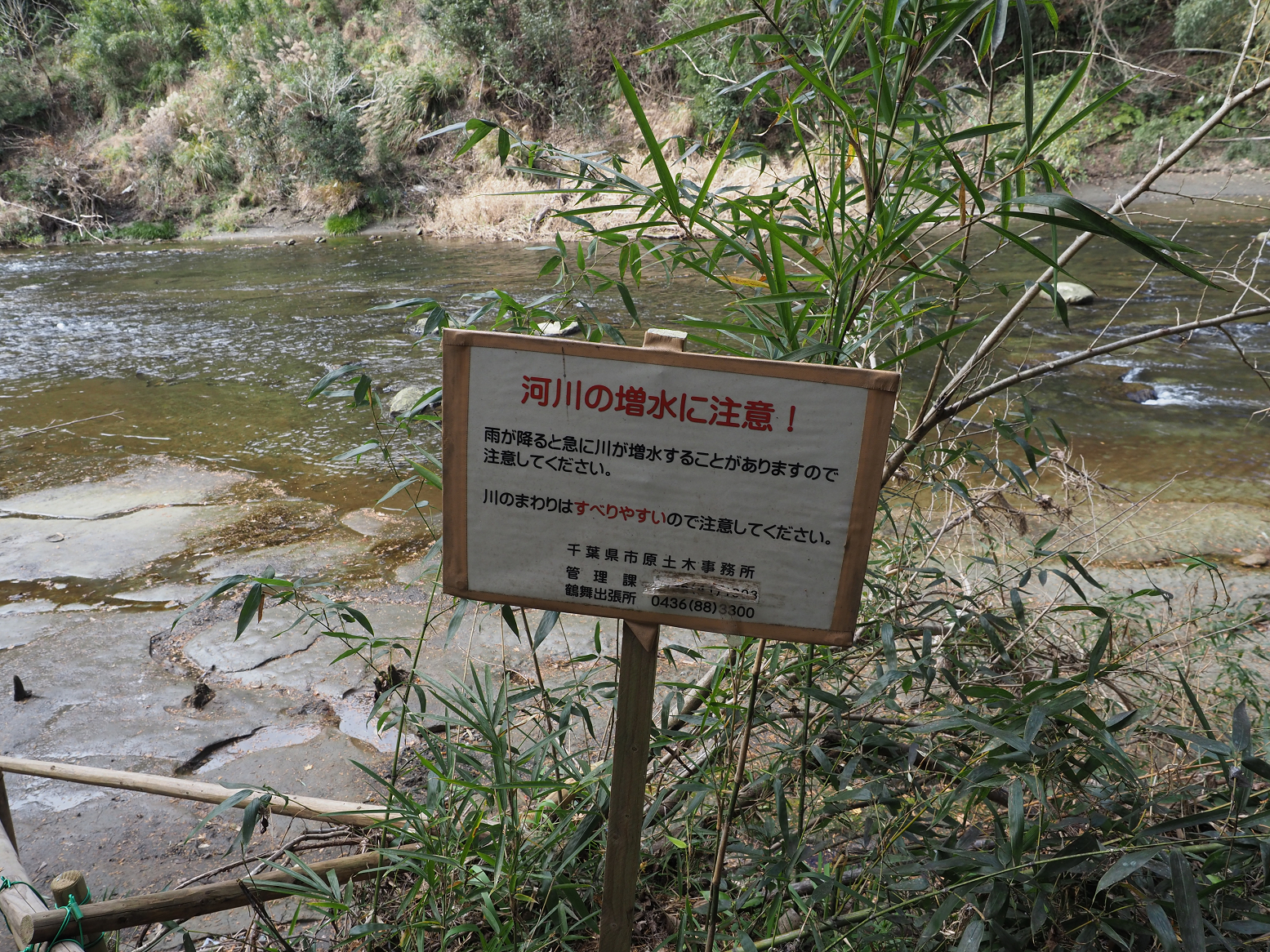 PC300310.jpg