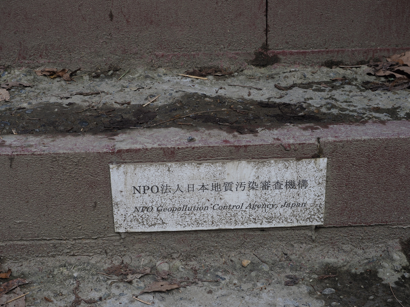 PC300313.jpg
