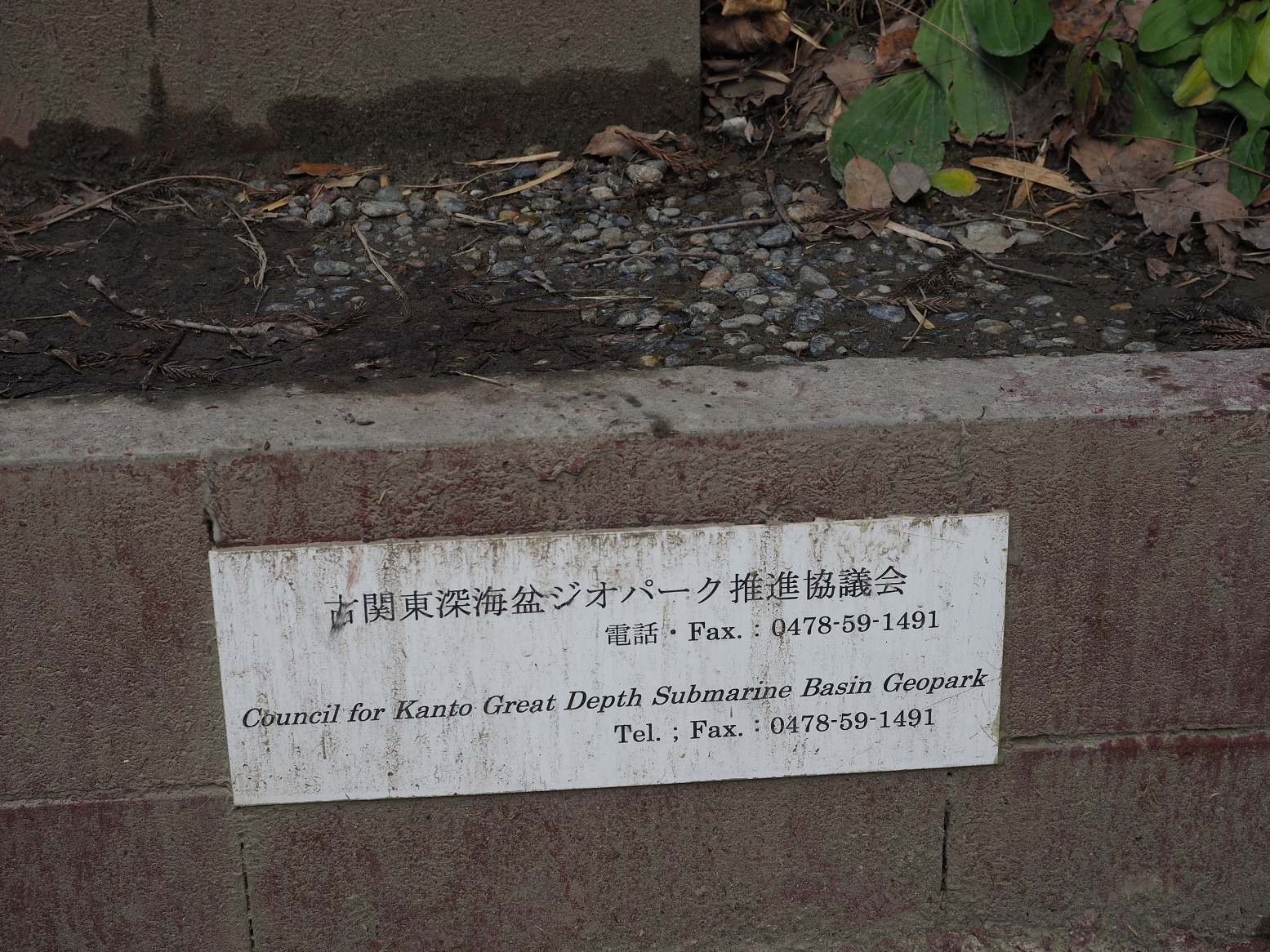 PC300316.jpg