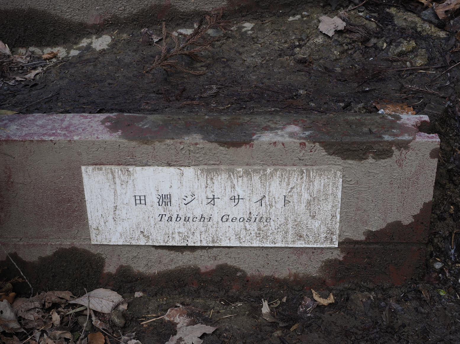 PC300317.jpg