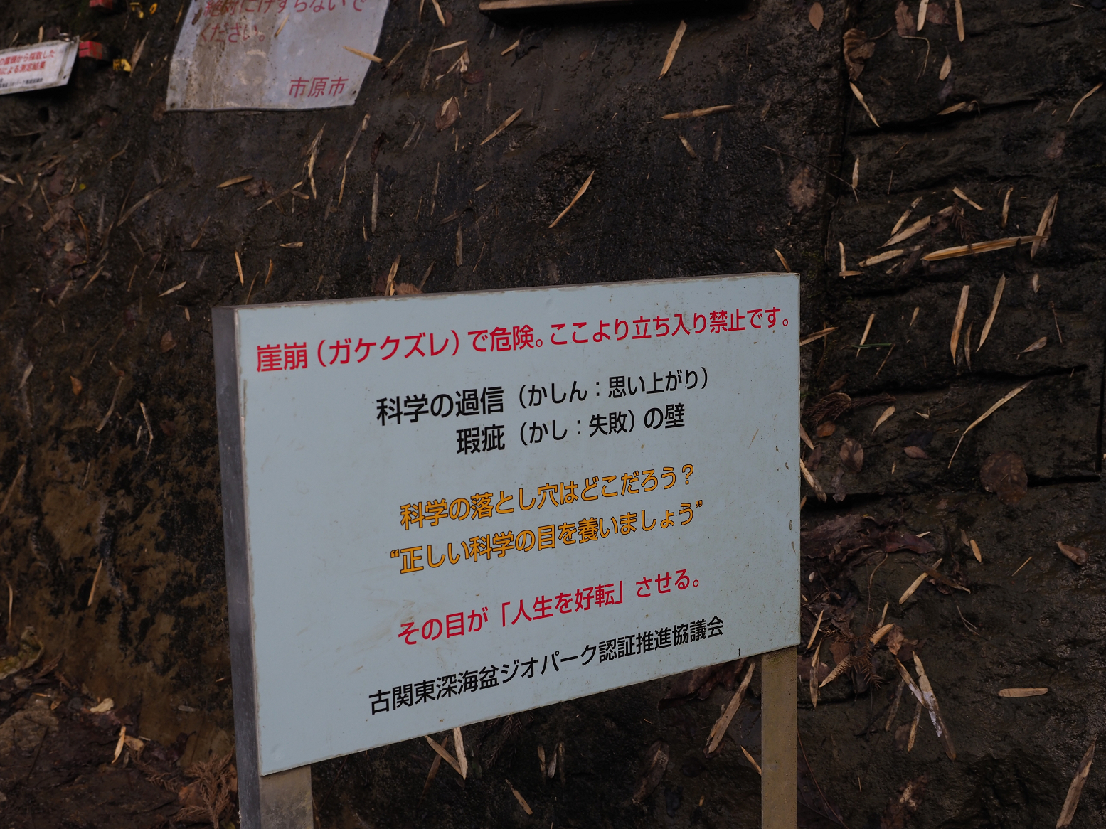 PC300318.jpg