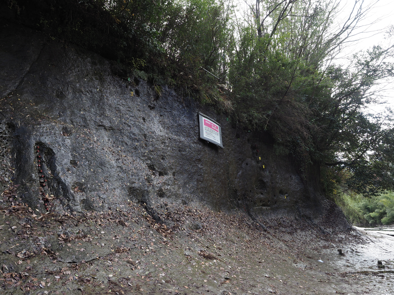 PC300336.jpg
