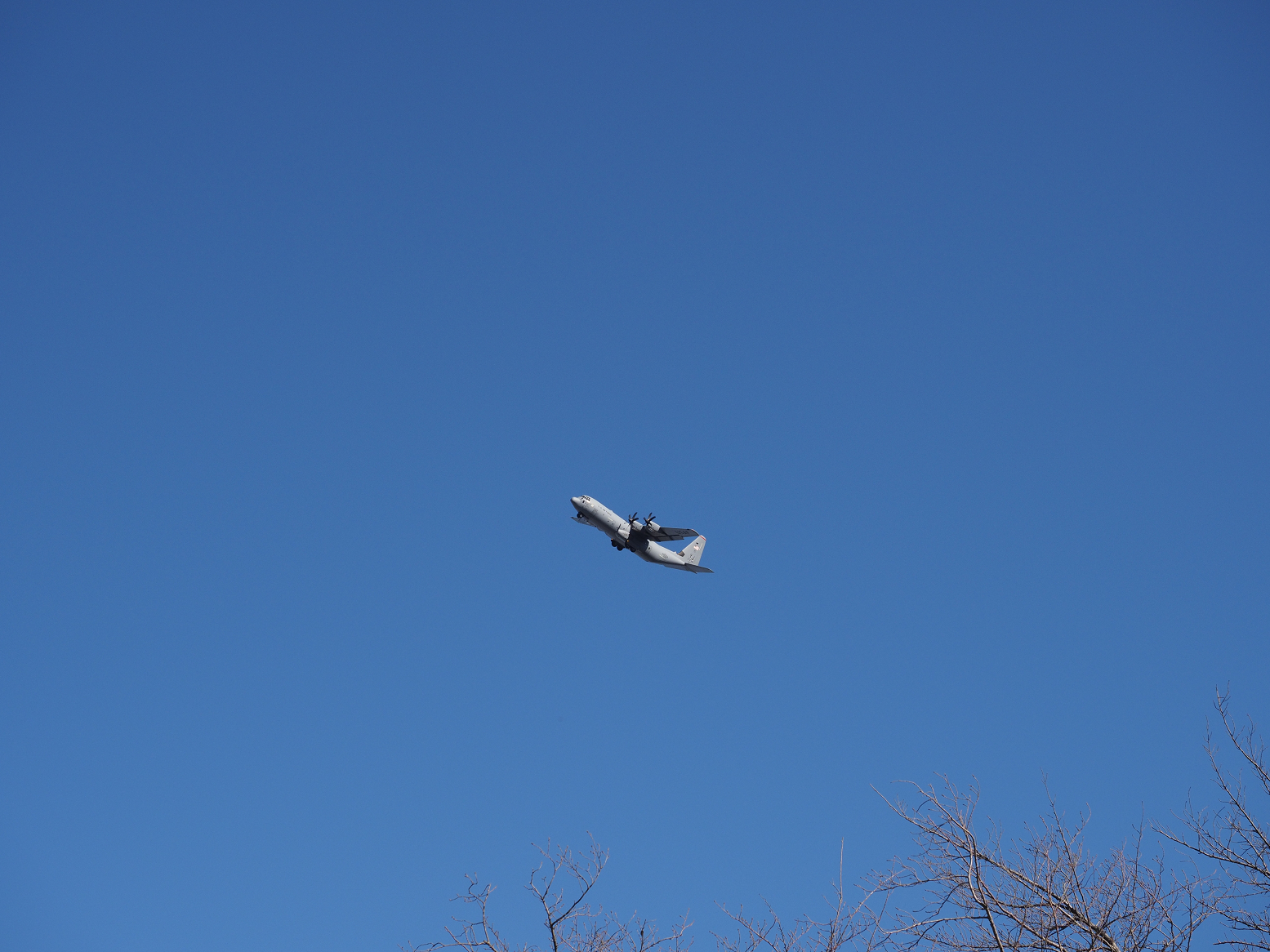 P1040031.jpg