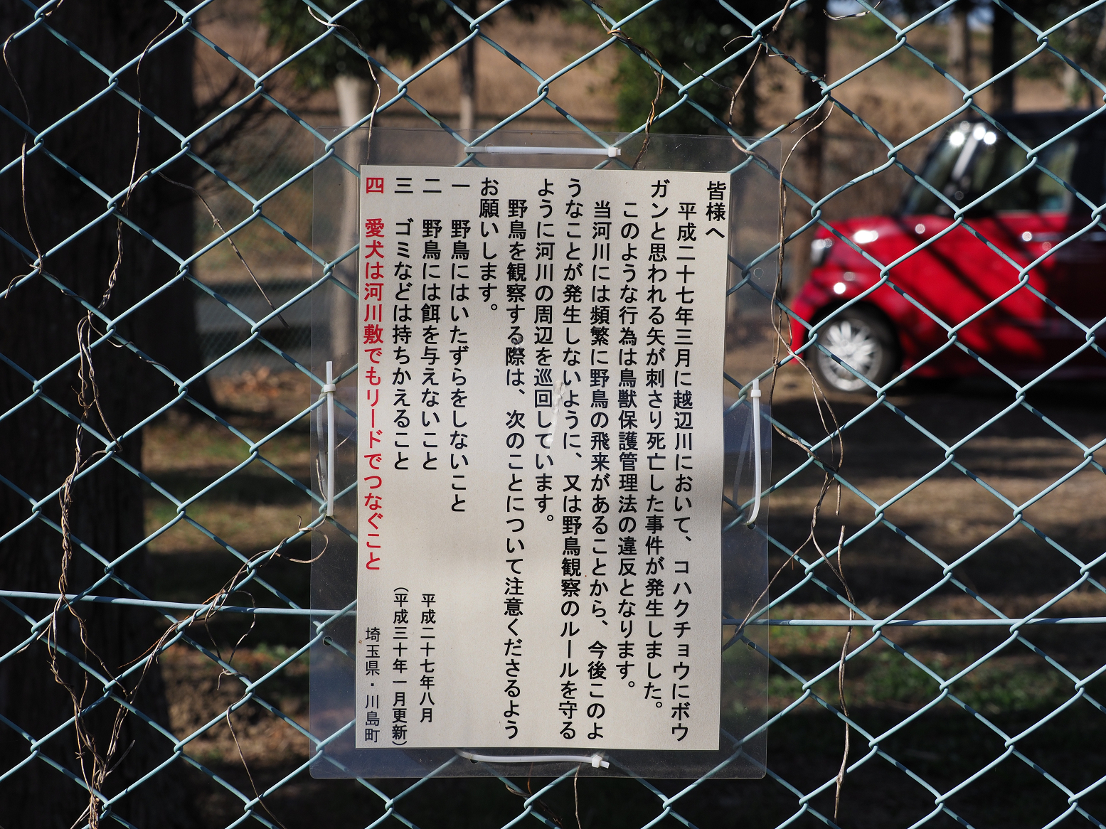 P1050102.jpg