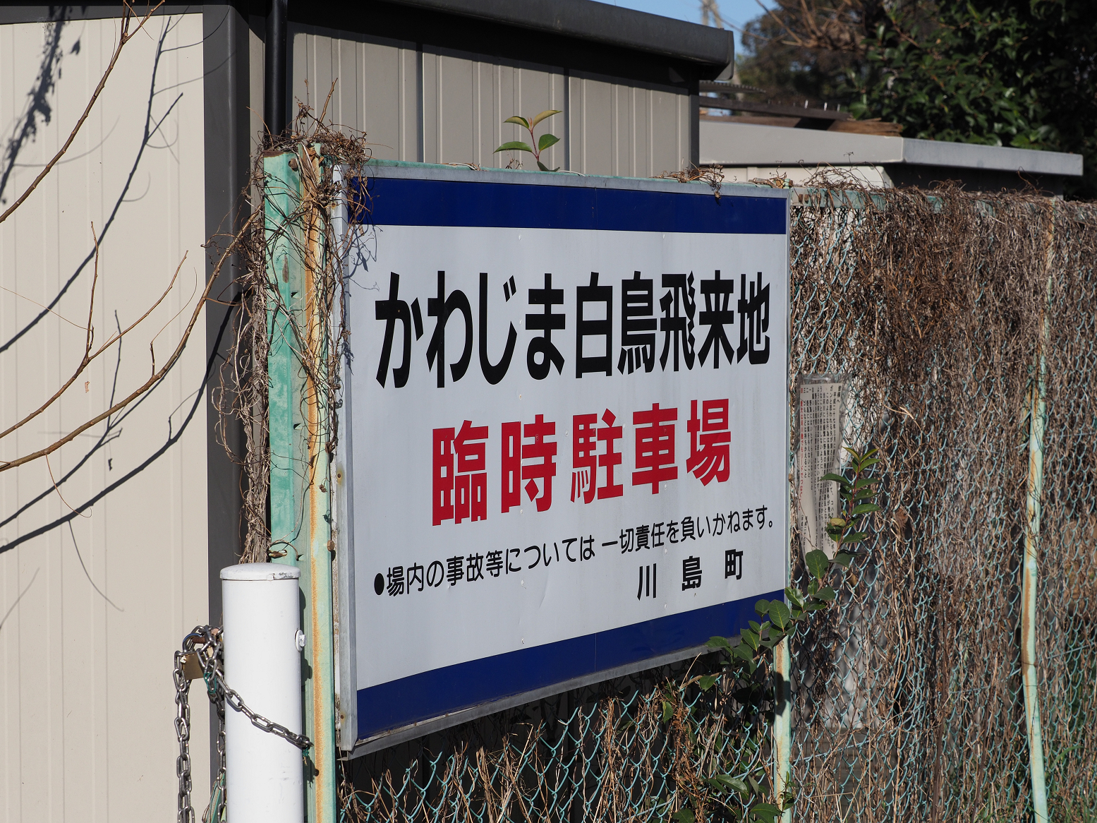 P1050103.jpg