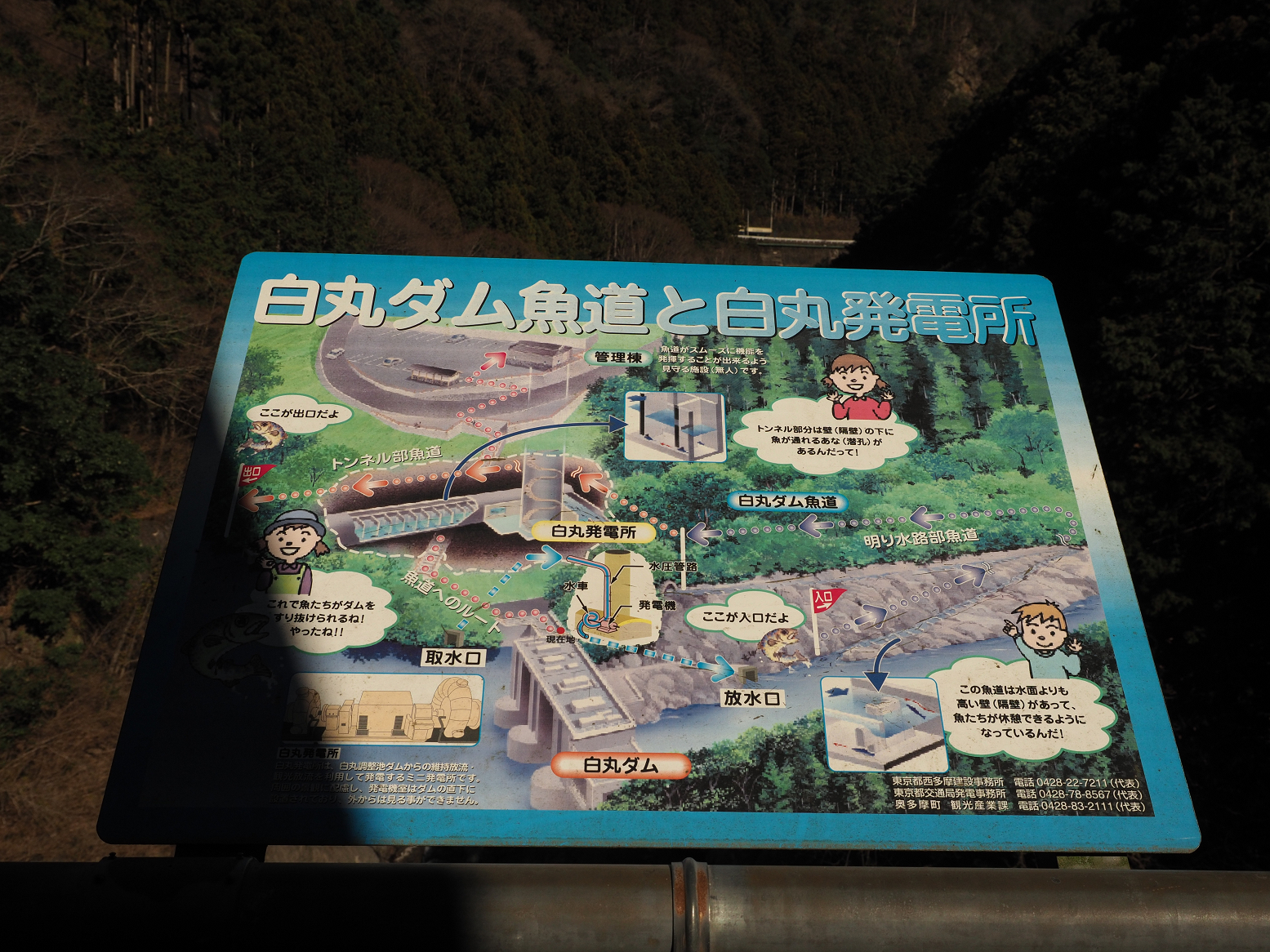 P1050116.jpg