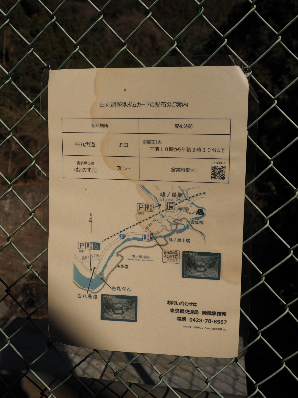P1050117.jpg