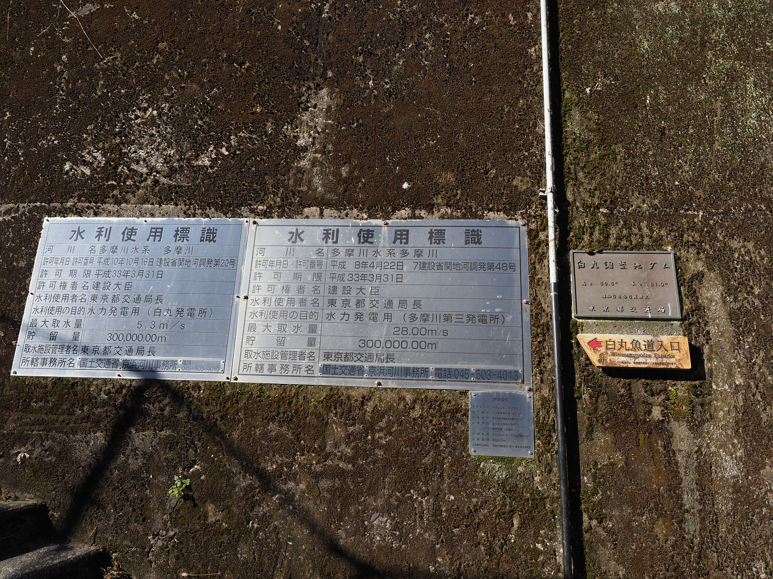 P1050121.jpg