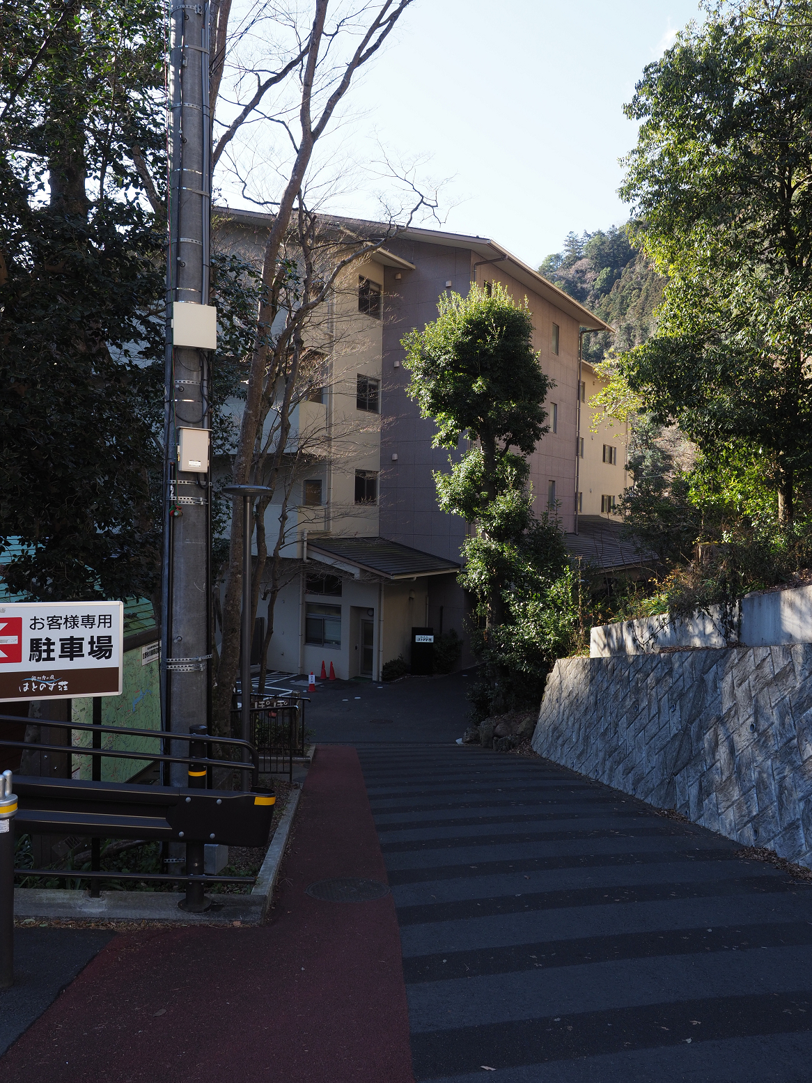 P1050135.jpg