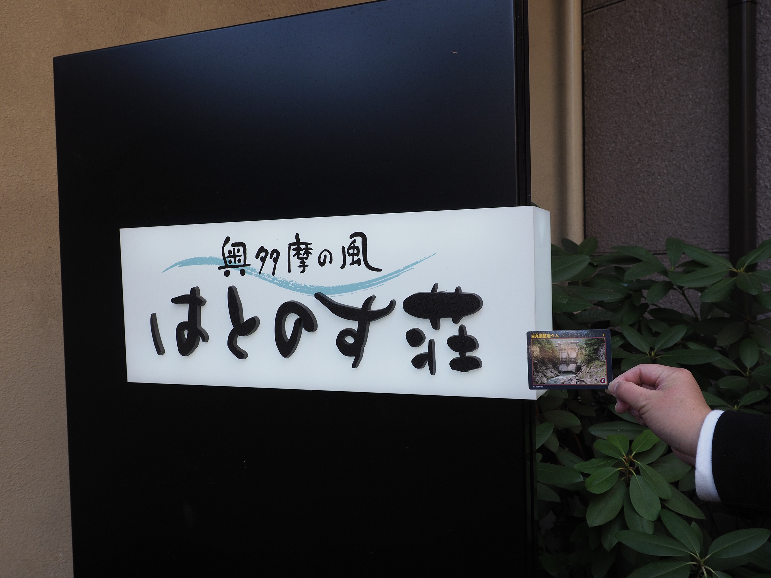 P1050136.jpg