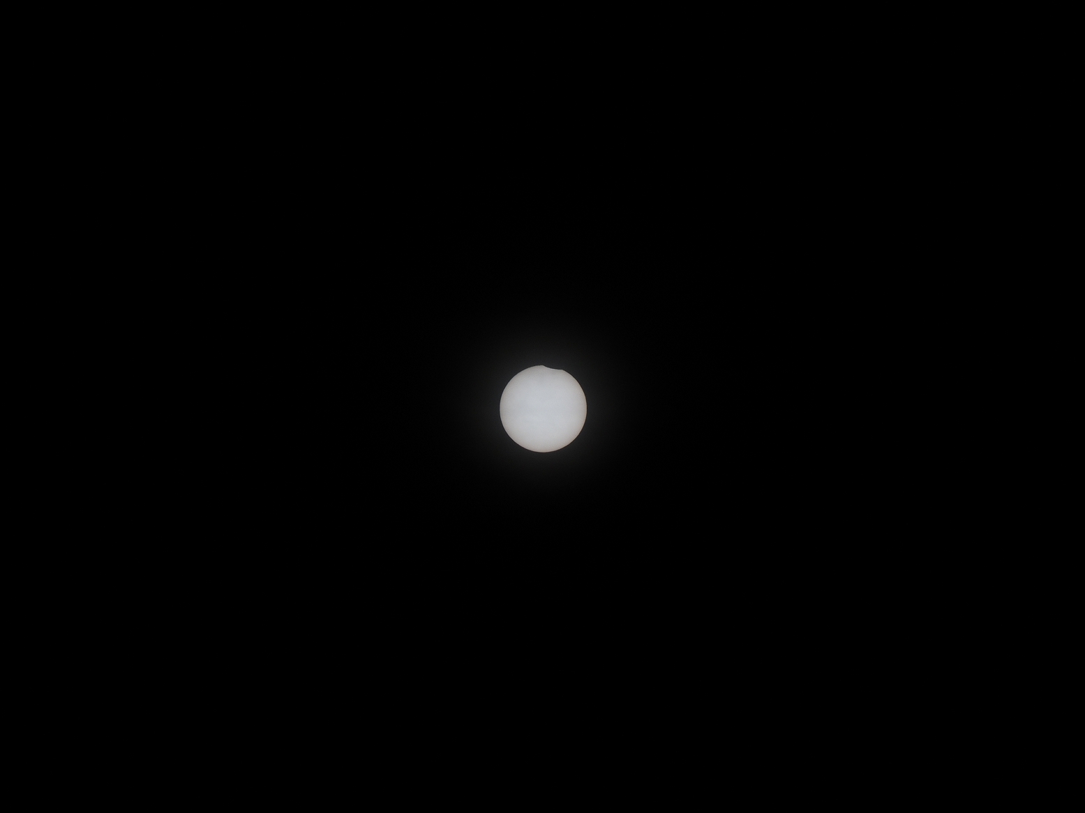 P1060170.jpg