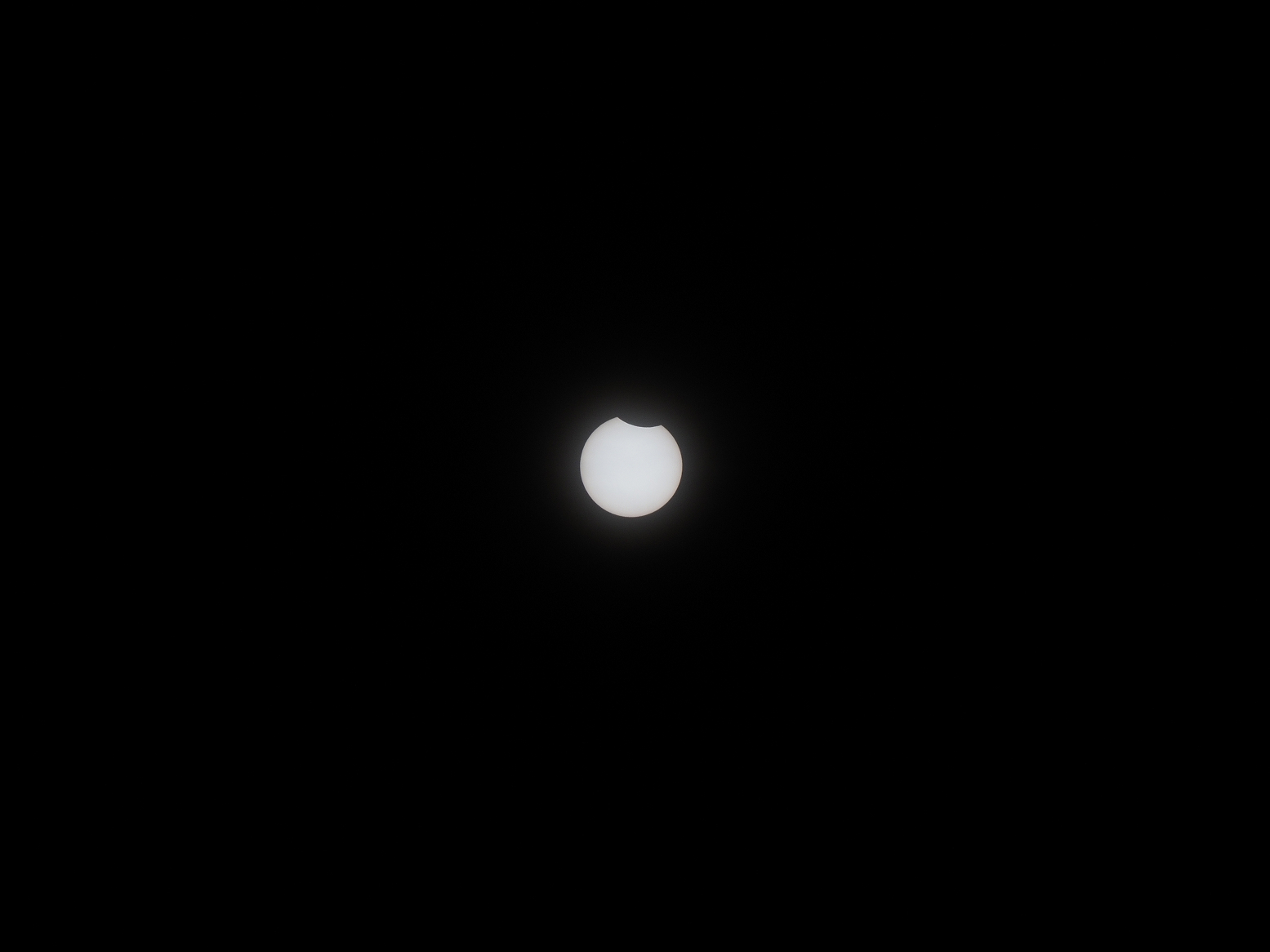 P1060184.jpg
