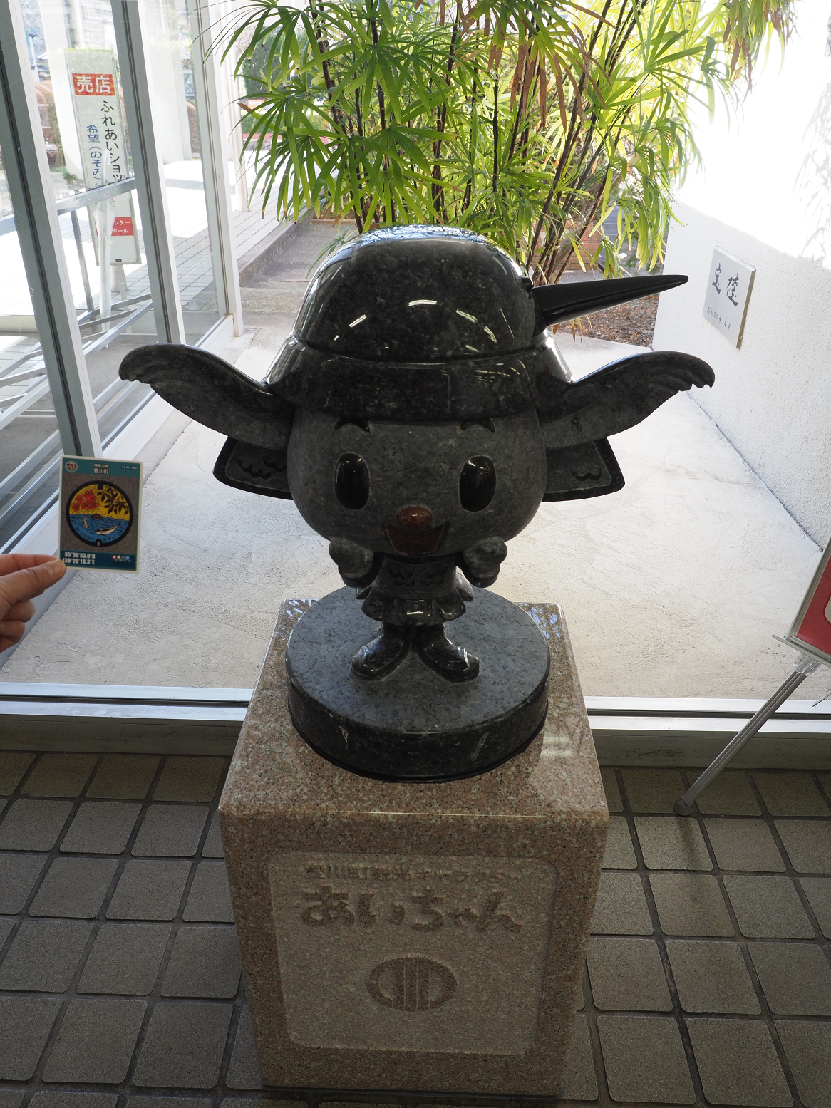 P1110007.jpg