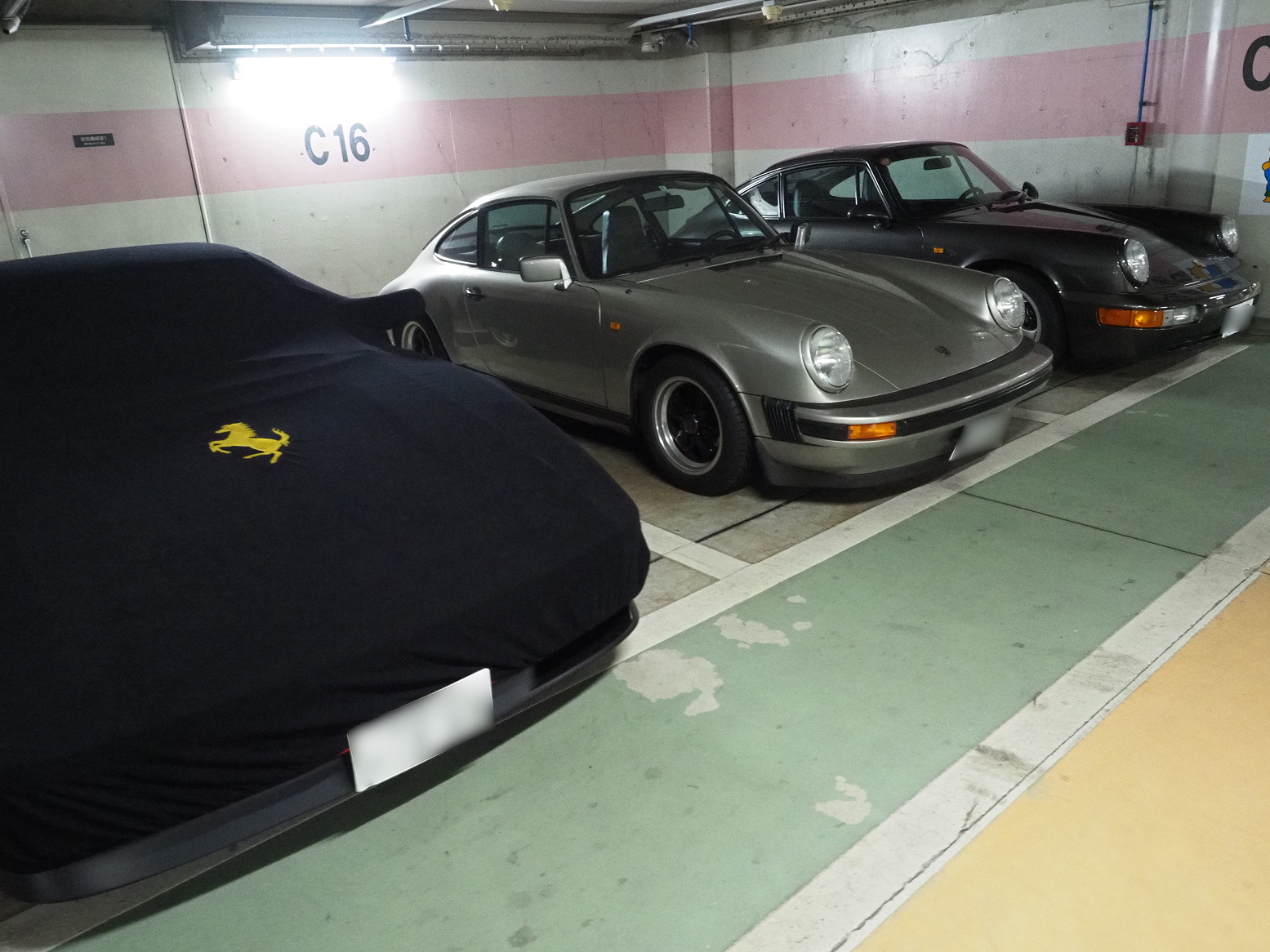 P1110016.jpg