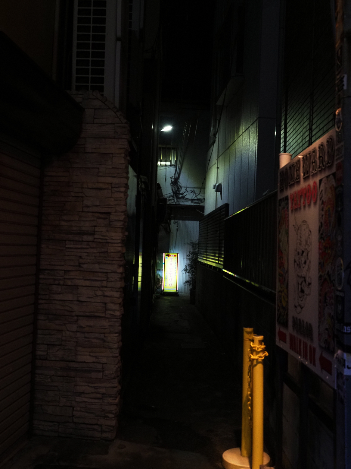 P1110063.jpg