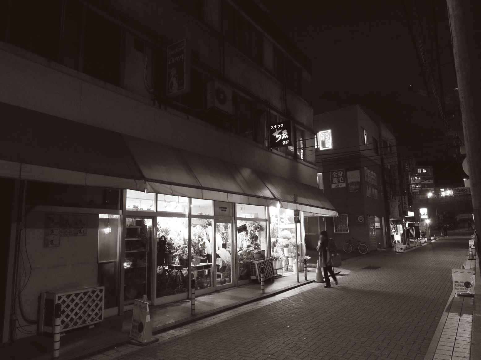P1110081.jpg