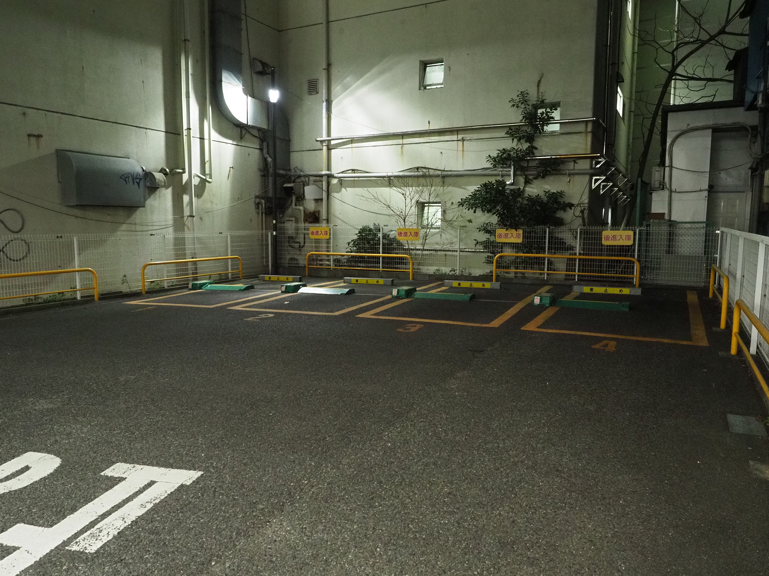 P1110084.jpg