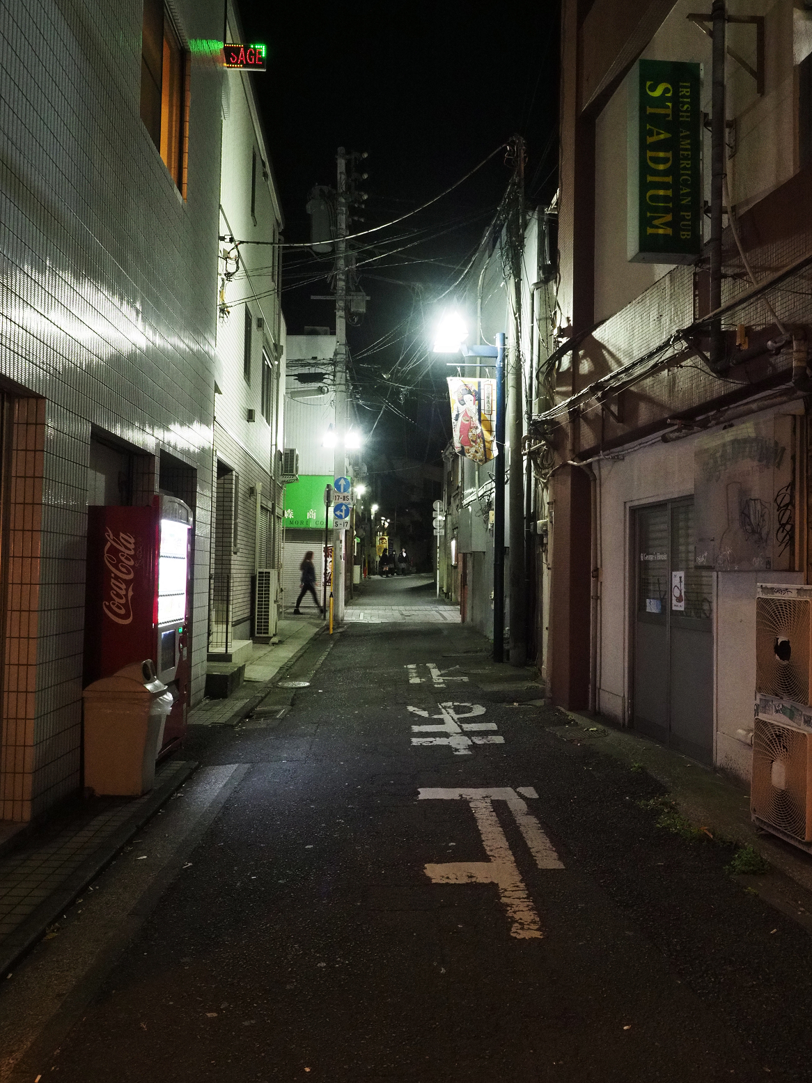 P1110120.jpg