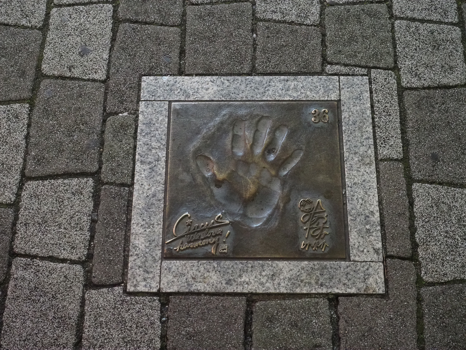 P1110135.jpg