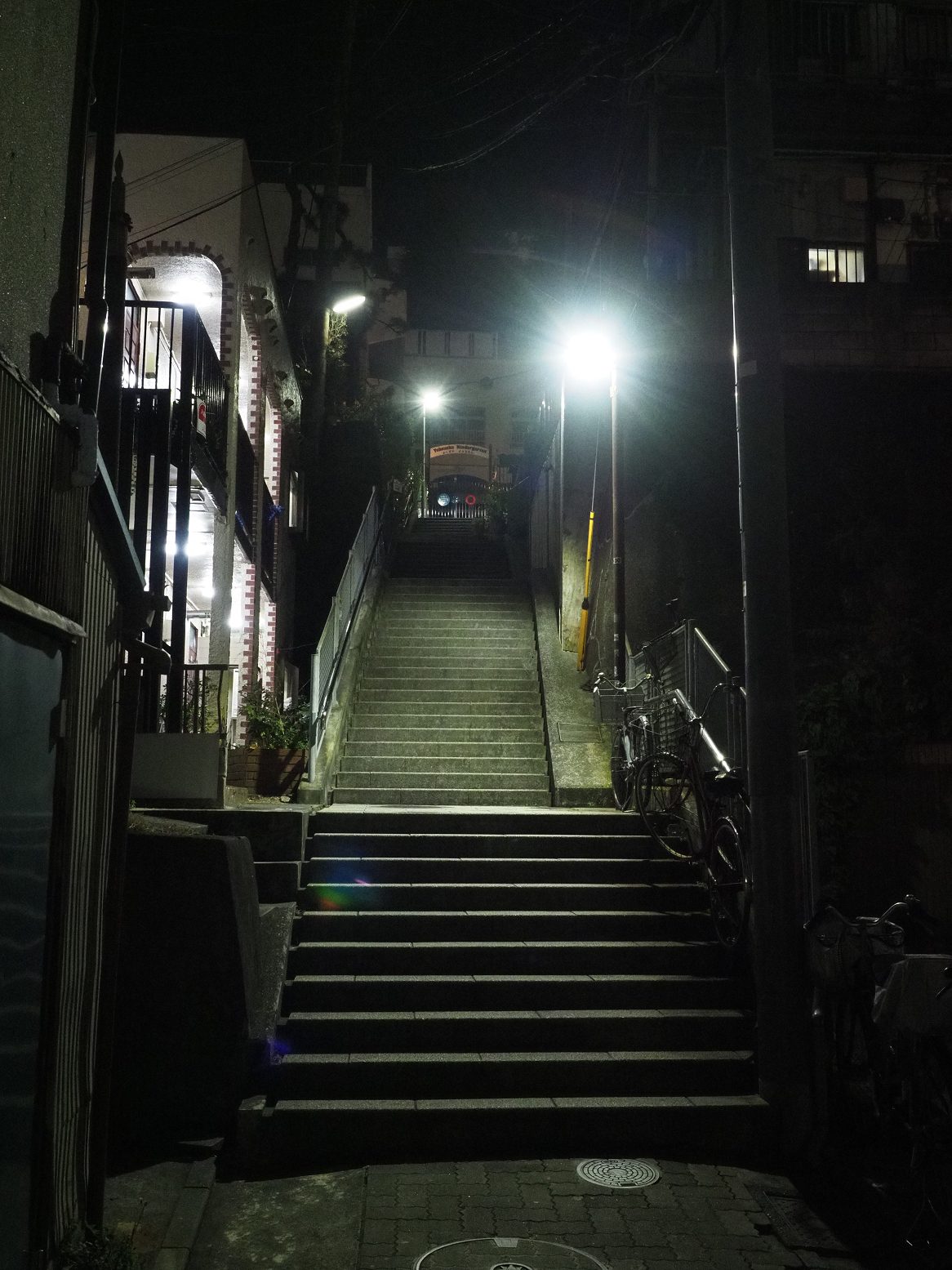 P1110174.jpg