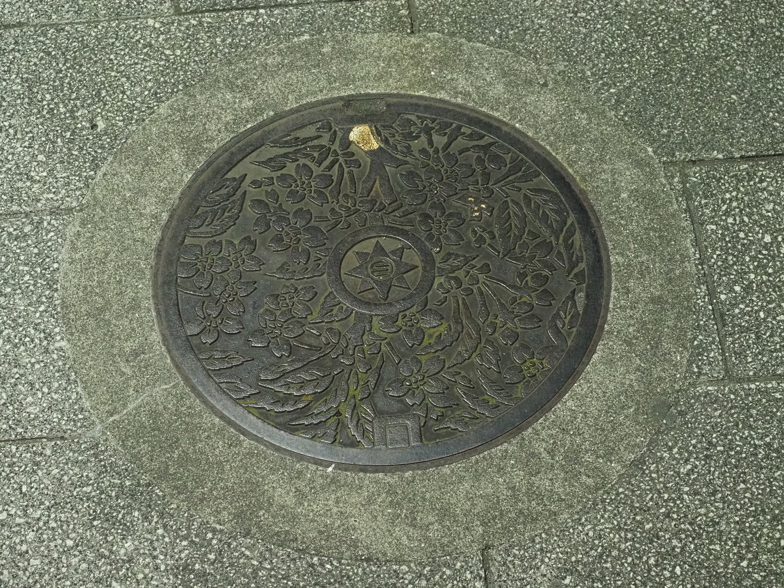 P1110175.jpg