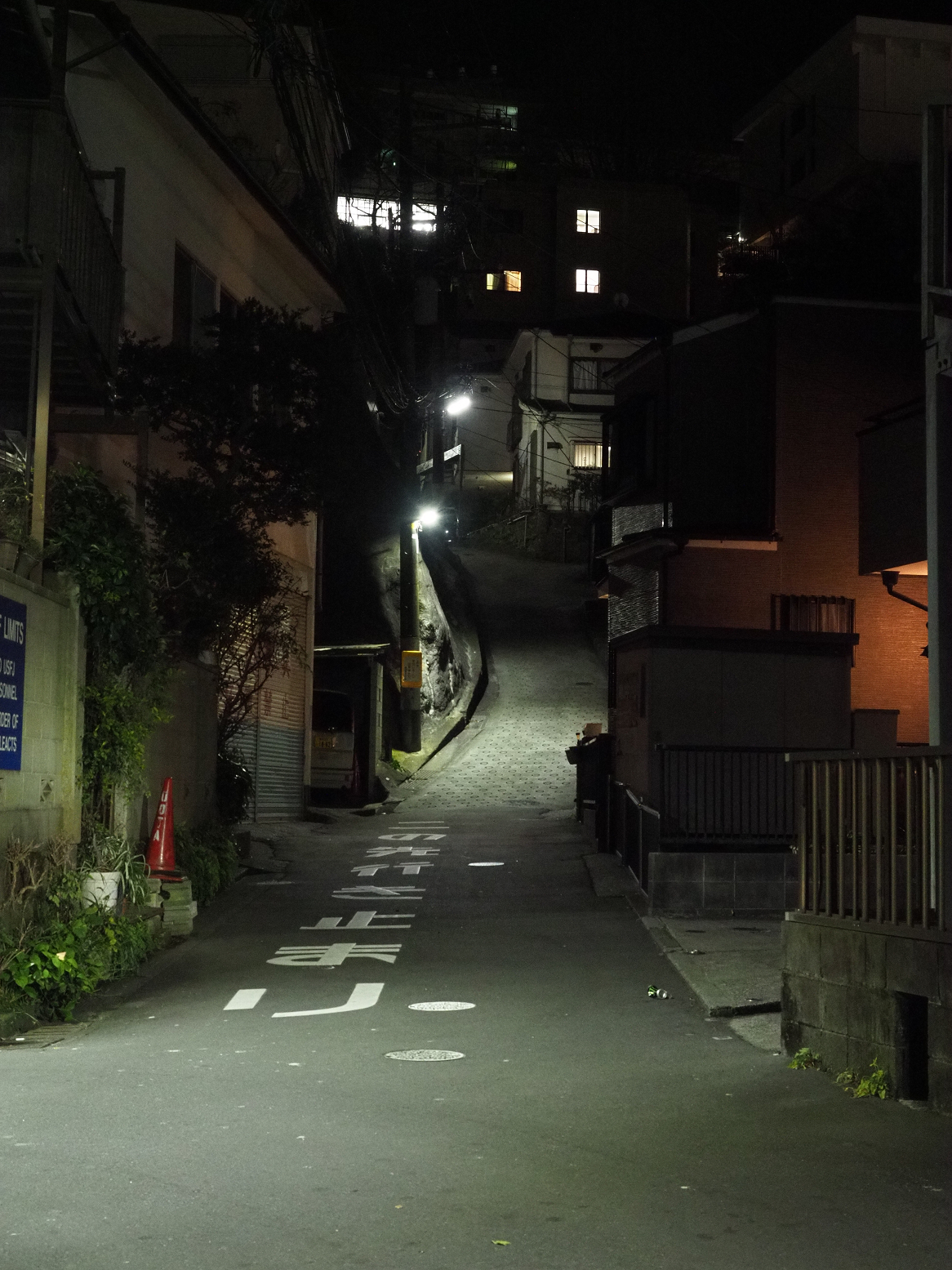 P1110185.jpg