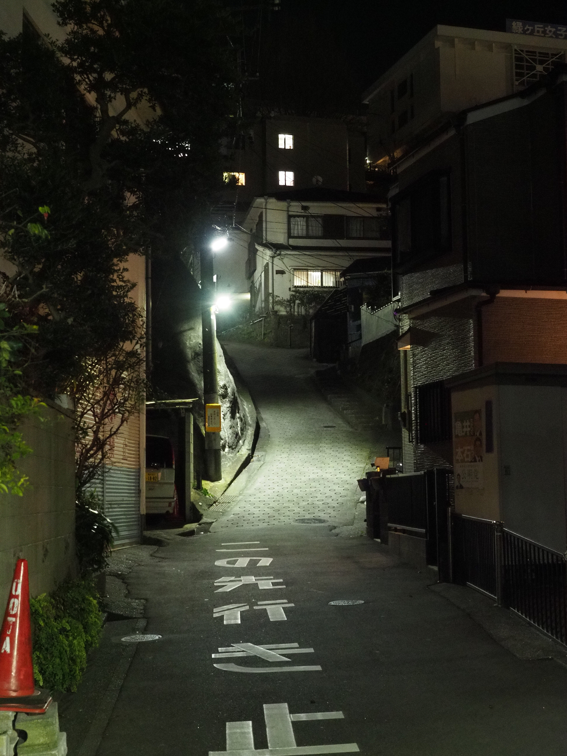 P1110188.jpg