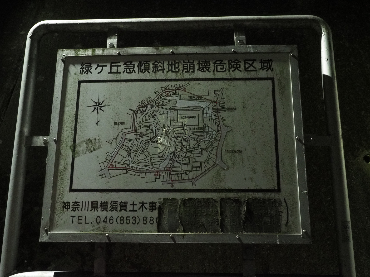 P1110193.jpg