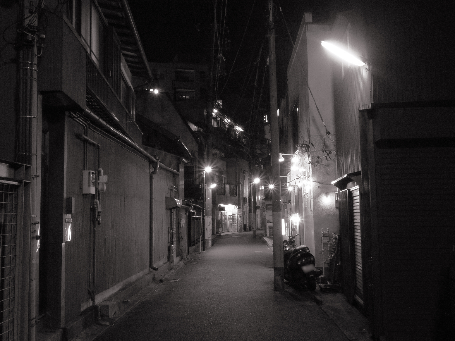 P1110194.jpg
