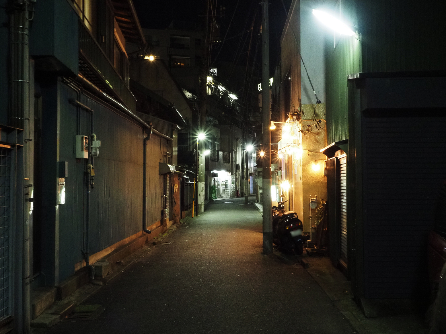 P1110195.jpg