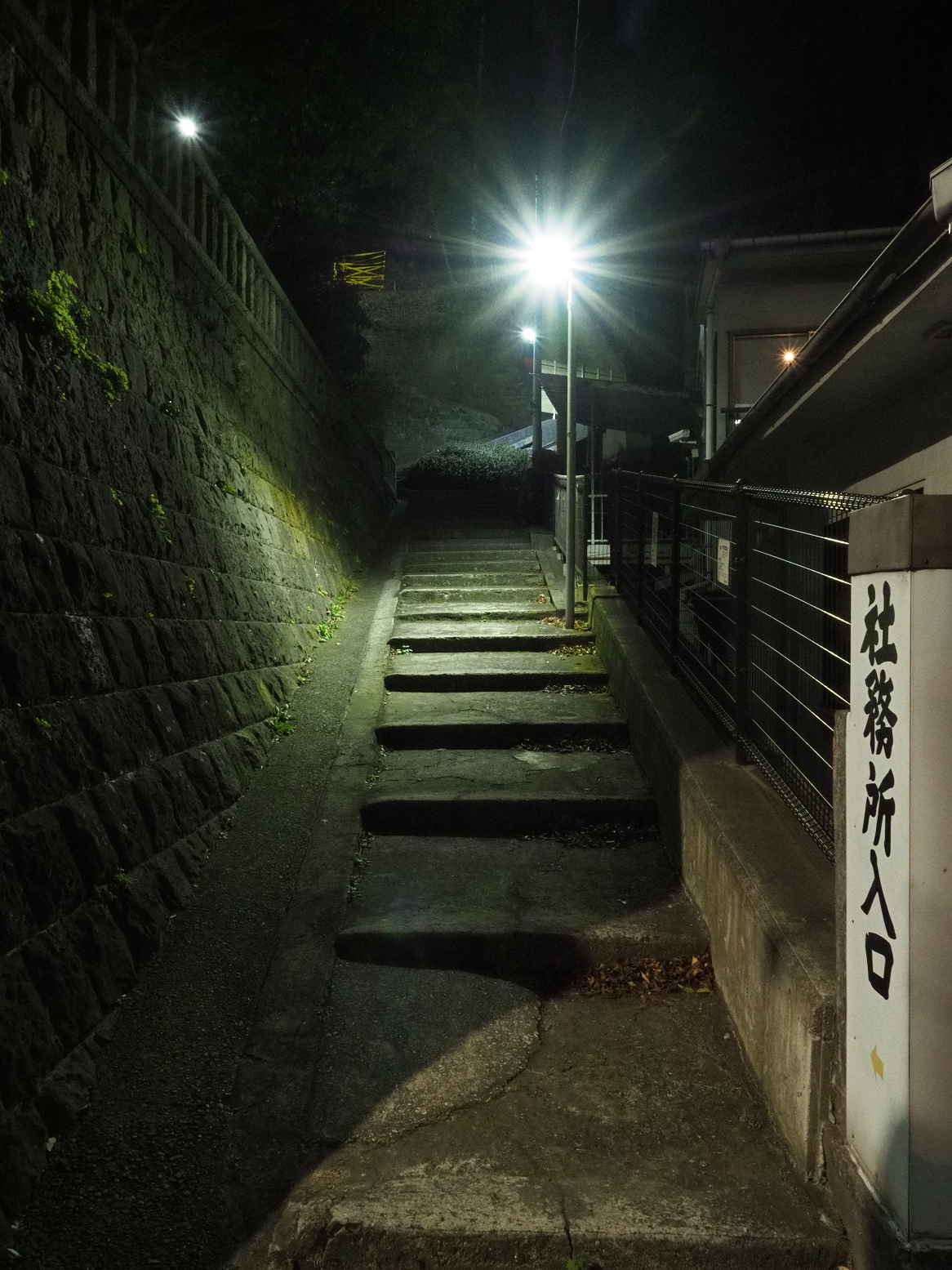 P1110203.jpg