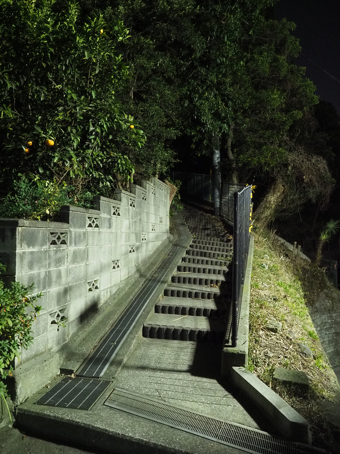 P1110210.jpg