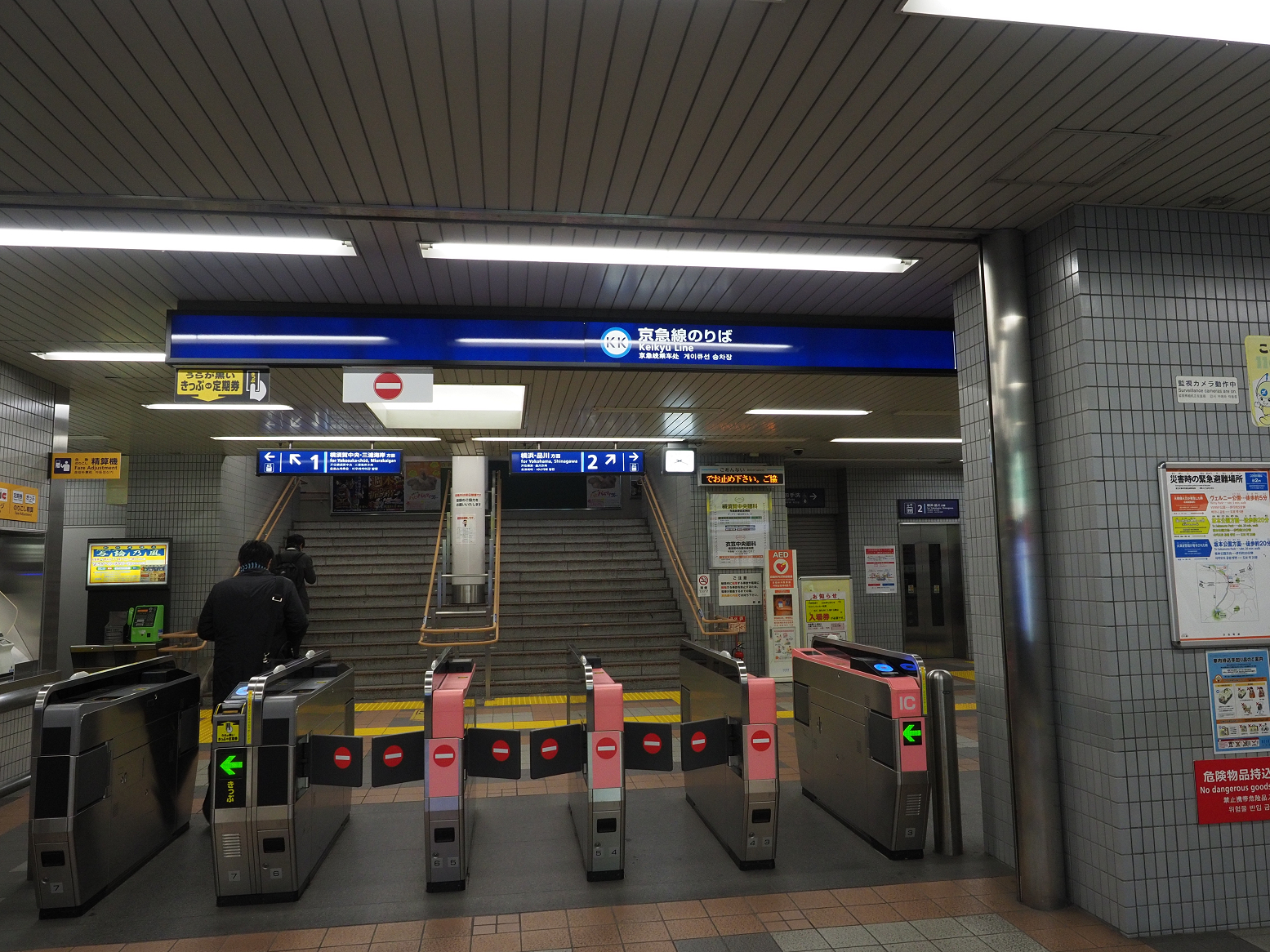 P1110230.jpg