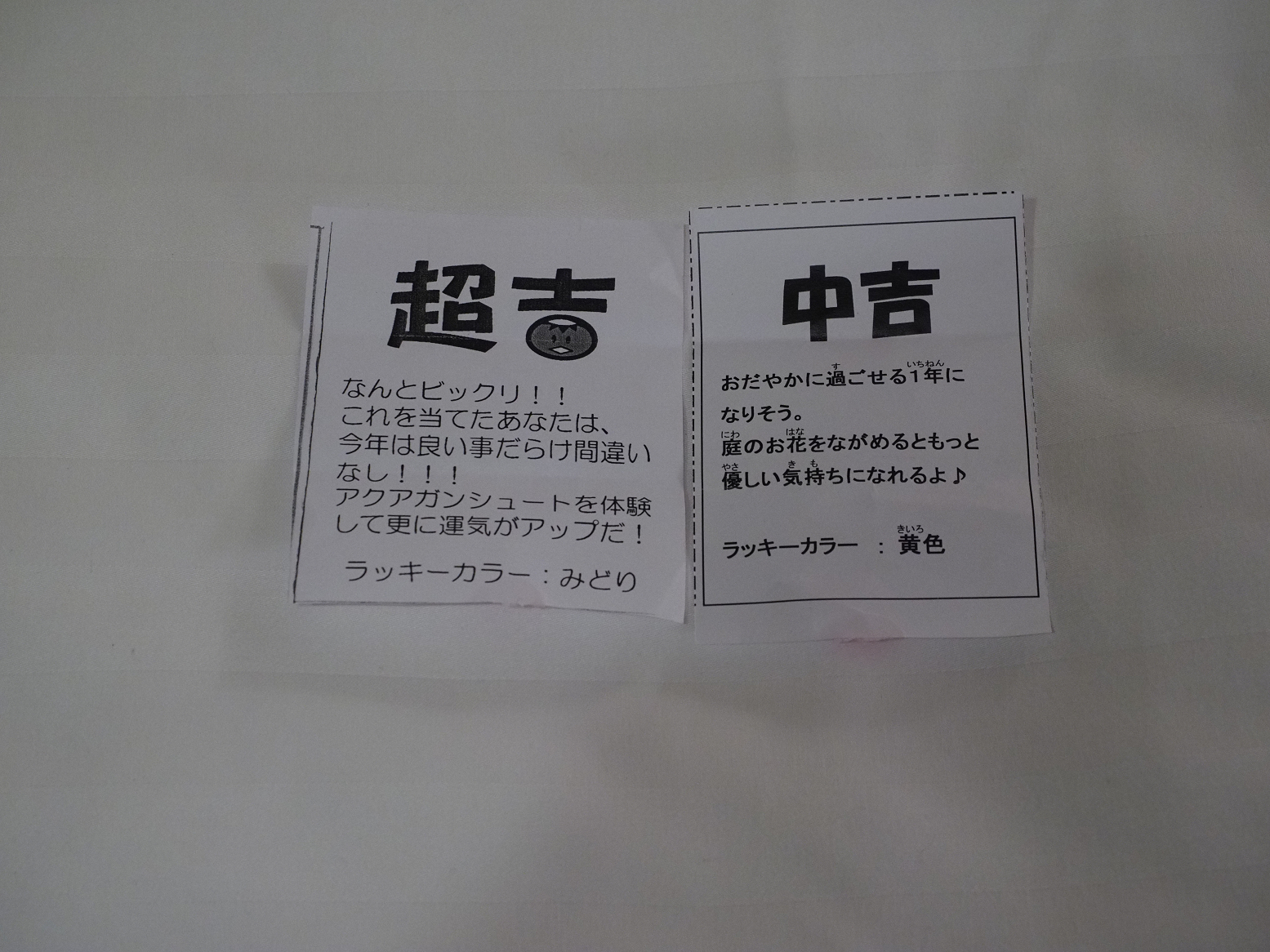 P1110239.jpg