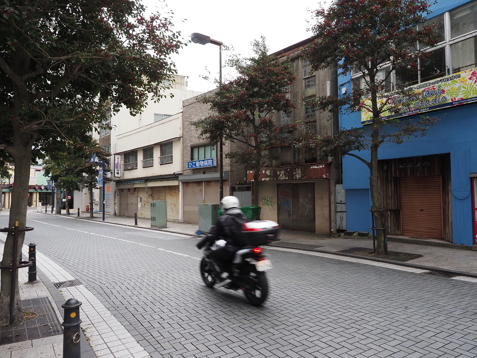 P1120299.jpg